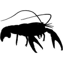 Crawfish Decal