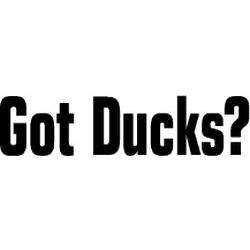 Got Ducks? Decal