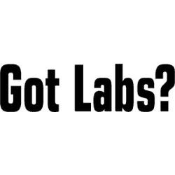 Got Labs? Decal