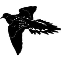 Dove Decal