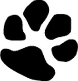 Paw Decal