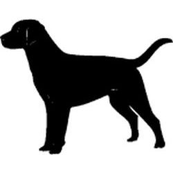 Labrador Decal