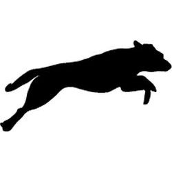 Jumping Lab Decal