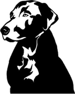 Labrador Head Decal