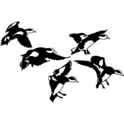 Detailed Flock of Widgeon Decal