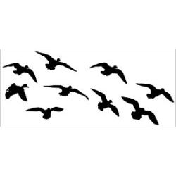Widgeon on the Way Decal