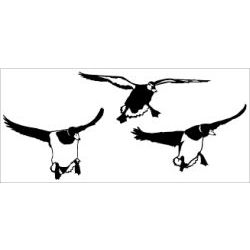 Mallards on the Deck Decal