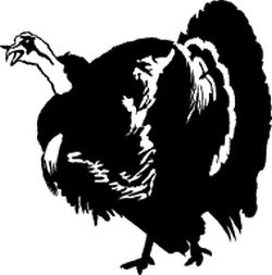 Turkey Gobbling Decal