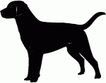 Labrador Decal