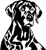 Detailed Labrador Head Decal