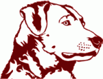 Chessie Decal