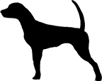 Pointer Decal