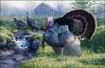 Wild Turkeys Area Rug