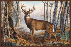 Whitetail Deer Area Rug