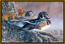 Wood Ducks Area Rug