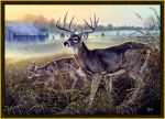 Boys Club Deer Area Rug