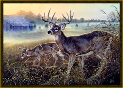 Boys Club Deer Area Rug