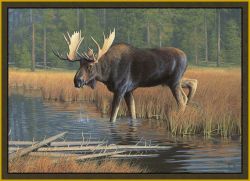 Moose Area Rug