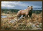 Grizzly Area Rug