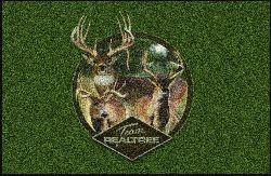 Team Realtree Bucks IX Area Rug