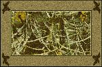 Realtree Max 4 Solid Border Area Rug