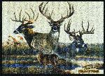 Team Realtree Bucks VI Area Rug