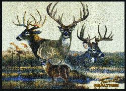 Team Realtree Bucks VI Area Rug