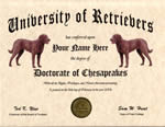 Chesapeake Diploma