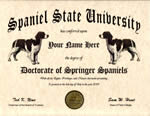 Springer Spaniel Diploma