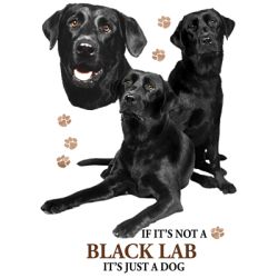 Black Lab Collage Ladies Tee