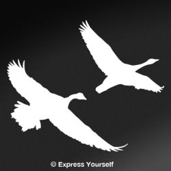 Canadian Flights Geese Decal