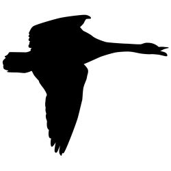 True Honker Goose Wall Decal