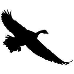 Canada Goose Wall Decal