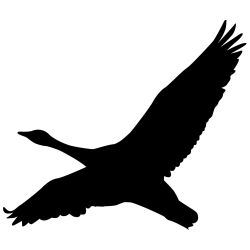 Lone Goose Wall Decal