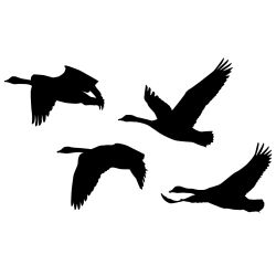 Honker Heaven Geese Wall Decal