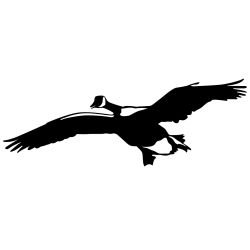 Canadian Gliding Goose Wall Decal