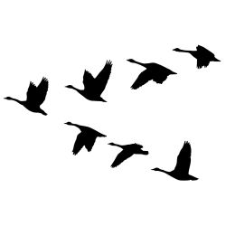 Honkers Headed South Wall Decal