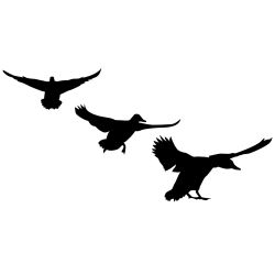 3 Mallards Comin' In Wall Decal