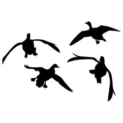 Jukin' Four Ducks Wall Decal