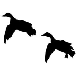 2 Mallards Comin' In Wall Decal