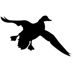 Mallard Comin' In Wall Decal