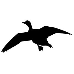 Duck Overhead Wall Decal