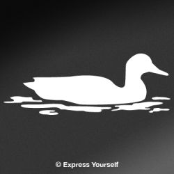 Mallard in Water Decal