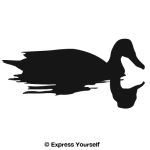 Shoveler Reflections Duck Decal