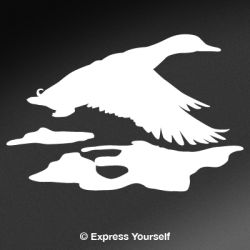 Surface Reflections Duck Decal