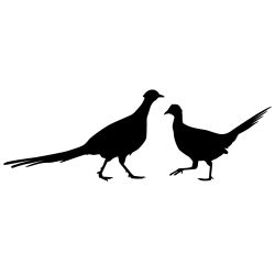 Hen Pecked Pheasant Wall Decal