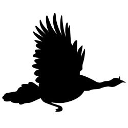 Turkey in Flight Wall Decal