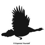 Turkey in Flight Decal