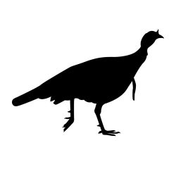 Turkey Trot Wall Decal