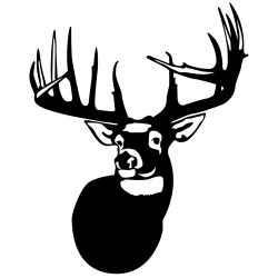 The Legend Whitetail Deer Wall Decal